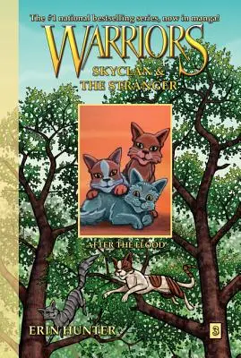 Warriors Manga: Skyclan und der Fremde #3: Nach der Sintflut - Warriors Manga: Skyclan and the Stranger #3: After the Flood