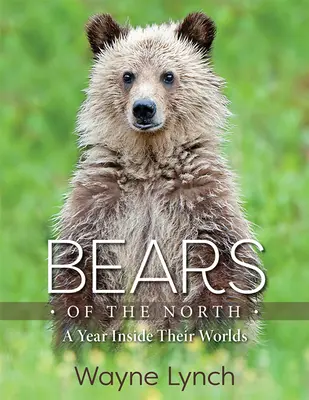 Bären des Nordens: Ein Jahr in ihren Welten - Bears of the North: A Year Inside Their Worlds