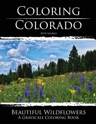 Colorado zum Ausmalen: Schöne Wildblumen: Ein Graustufen-Malbuch - Coloring Colorado: Beautiful Wildflowers: A Grayscale Coloring Book