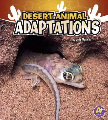 Anpassungen der Wüstentiere - Desert Animal Adaptations