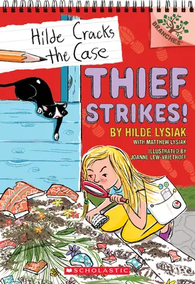 Dieb schlägt zu!: Ein Zweigbuch (Hilde knackt den Fall #6), 6 - Thief Strikes!: A Branches Book (Hilde Cracks the Case #6), 6
