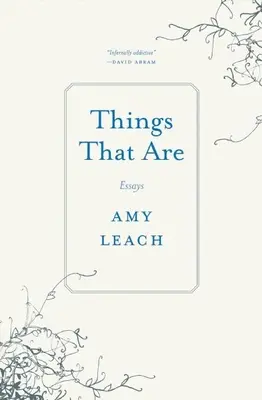 Dinge, die sind: Aufsätze - Things That Are: Essays