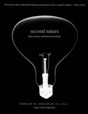 Zweite Natur: Gehirnforschung und menschliches Wissen - Second Nature: Brain Science and Human Knowledge