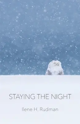 Die Nacht bleiben - Staying The Night