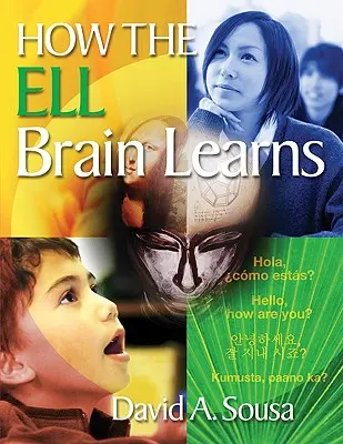 Wie das Ell-Gehirn lernt - How the Ell Brain Learns