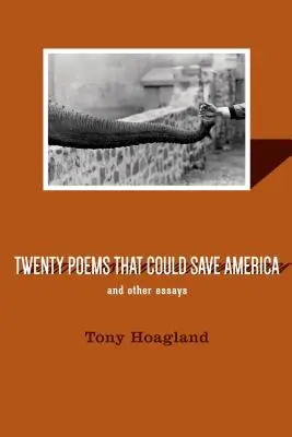 Zwanzig Gedichte, die Amerika retten könnten, und andere Essays - Twenty Poems That Could Save America and Other Essays