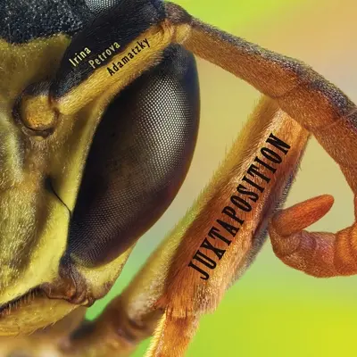 Nebeneinanderstellung - Juxtaposition