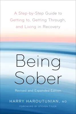 Nüchtern sein: Ein Schritt-für-Schritt-Leitfaden für den Einstieg, den Ausstieg und das Leben in der Genesung, überarbeitet und erweitert - Being Sober: A Step-By-Step Guide to Getting To, Getting Through, and Living in Recovery, Revised and Expanded