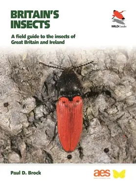 Großbritanniens Insekten: Ein Feldführer zu den Insekten Großbritanniens und Irlands - Britain's Insects: A Field Guide to the Insects of Great Britain and Ireland