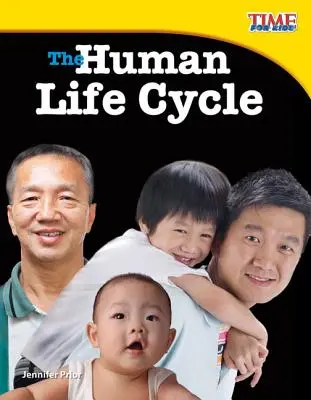 Der menschliche Lebenszyklus - The Human Life Cycle