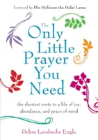Das einzige kleine Gebet, das Sie brauchen: Der kürzeste Weg zu einem Leben voller Freude, Überfluss und Seelenfrieden - Only Little Prayer You Need: The Shortest Route to a Life of Joy, Abundance, and Peace of Mind