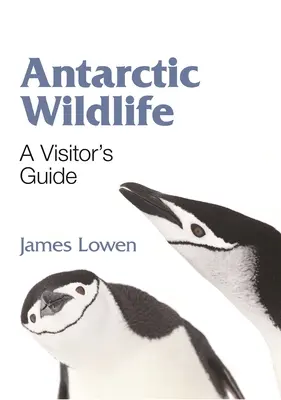 Antarktische Tierwelt: Ein Reiseführer für Besucher - Antarctic Wildlife: A Visitor's Guide