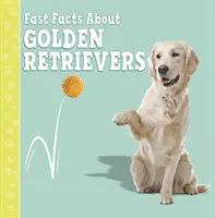 Schnelle Fakten über Golden Retriever - Fast Facts About Golden Retrievers