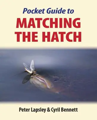 Pocket Guide zur Anpassung der Schraffur - Pocket Guide to Matching the Hatch