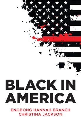 Schwarz in Amerika: Das Paradoxon der Farbgrenze - Black in America: The Paradox of the Color Line