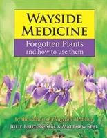 Medizin am Wegesrand - Vergessene Pflanzen und wie man sie nutzt - Wayside Medicine - Forgotten Plants and how to use them