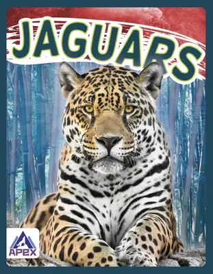 Jaguare - Jaguars