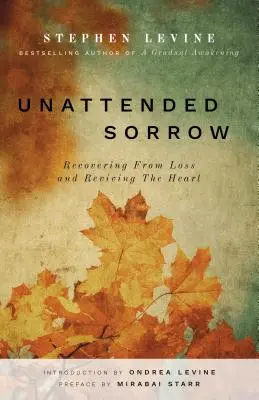 Unbeaufsichtigter Kummer: Sich von Verlust erholen und das Herz wiederbeleben - Unattended Sorrow: Recovering from Loss and Reviving the Heart