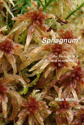 Torfmoos - Sphagnum