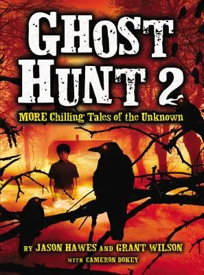 Geisterjagd 2: Weitere schaurige Geschichten aus dem Unbekannten - Ghost Hunt 2: More Chilling Tales of the Unknown