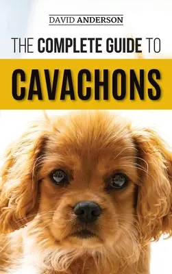 Der vollständige Leitfaden für Cavachons: Auswahl, Ausbildung, Erziehung, Fütterung und Liebe zu Ihrem Cavachon-Hund - The Complete Guide to Cavachons: Choosing, Training, Teaching, Feeding, and Loving Your Cavachon Dog