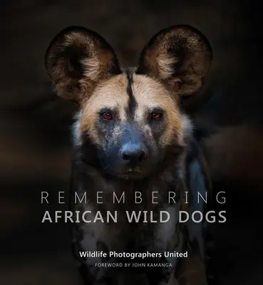 Erinnern an Afrikanische Wildhunde - Remembering African Wild Dogs