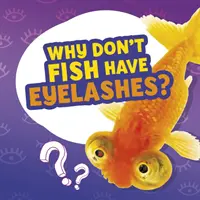 Warum haben Fische keine Wimpern? - Why Don't Fish Have Eyelashes?