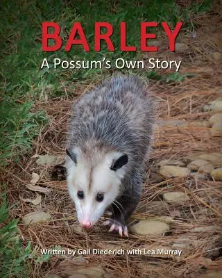 Barley, die eigene Geschichte eines Opossums - Barley, a Possum's Own Story