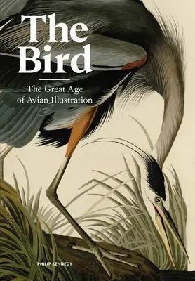 Der Vogel: Das große Zeitalter der Vogelillustration - The Bird: The Great Age of Avian Illustration