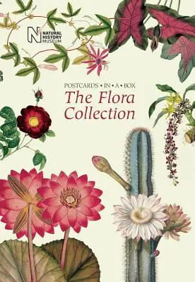 Die Flora-Sammlung: Postkarten in einer Box - The Flora Collection: Postcards in a Box