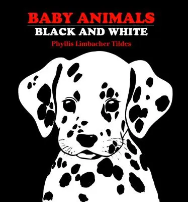 Baby-Tiere: Schwarz und Weiß - Baby Animals: Black and White