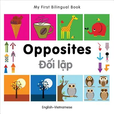 Mein erstes zweisprachiges Buch - Gegensätze (Englisch-Vietnamesisch) - My First Bilingual Book -  Opposites (English-Vietnamese)