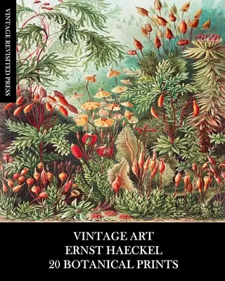 Alte Kunst: Ernst Haeckel: 20 Botanische Drucke: Flora und Fauna Ephemera zum Einrahmen, Collagieren und Decoupage - Vintage Art: Ernst Haeckel: 20 Botanical Prints: Flora and Fauna Ephemera for Framing, Collage and Decoupage