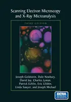 Rasterelektronenmikroskopie und Röntgenmikroanalyse: Dritte Auflage - Scanning Electron Microscopy and X-Ray Microanalysis: Third Edition
