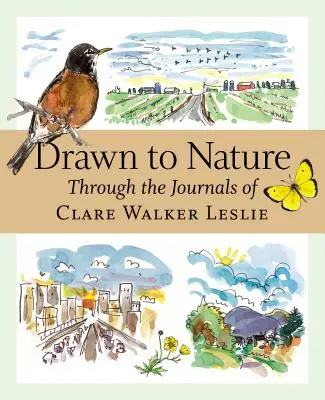 Zur Natur hingezogen: Durch die Tagebücher von Clare Walker Leslie - Drawn to Nature: Through the Journals of Clare Walker Leslie