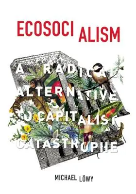 Ökosozialismus: Eine radikale Alternative zur kapitalistischen Katastrophe - Ecosocialism: A Radical Alternative to Capitalist Catastrophe