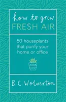 Frische Luft schaffen - 50 Zimmerpflanzen, die Ihr Zuhause oder Büro reinigen - How To Grow Fresh Air - 50 Houseplants To Purify Your Home Or Office