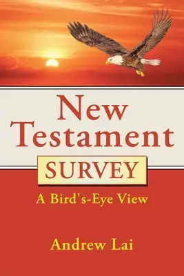Überblick über das Neue Testament: Ein Blick aus der Vogelperspektive - New Testament Survey: A Bird's-Eye View