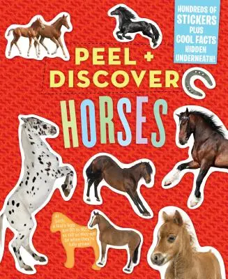 Peel + Discover: Pferde - Peel + Discover: Horses