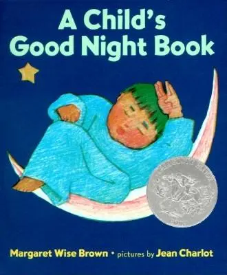 Das Gute-Nacht-Buch eines Kindes - ein Pappbuch - A Child's Good Night Book Board Book