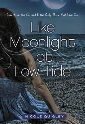 Wie Mondlicht bei Ebbe Softcover - Like Moonlight at Low Tide Softcover