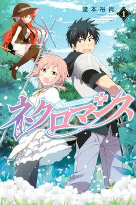 Nekromantie Bd. 1 - Necromance Vol. 1