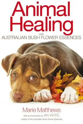 Tierheilung mit australischen Buschblütenessenzen - Animal Healing with Australian Bush Flower Essences