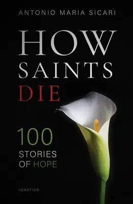 Wie Heilige sterben: 100 Geschichten der Hoffnung - How Saints Die: 100 Stories of Hope