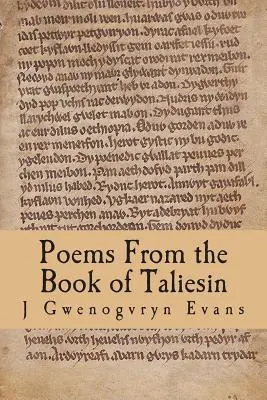 Gedichte aus dem Buch von Taliesin - Poems From the Book of Taliesin