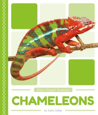 Chamäleons - Chameleons