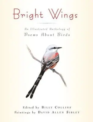 Helle Flügel: Eine illustrierte Anthologie von Gedichten über Vögel - Bright Wings: An Illustrated Anthology of Poems about Birds