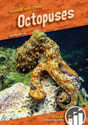 Oktopusse - Octopuses