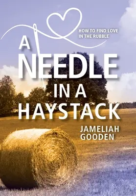 Eine Nadel im Heuhaufen: Wie man die Liebe in den Trümmern findet - A Needle in a Haystack: How to Find Love in the Rubble