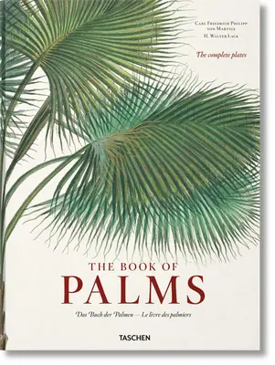 Martius. das Buch der Palmen - Martius. the Book of Palms